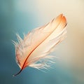 A Delicate Feather Floating in the Wind