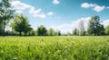 Tranquil Manicured Lawn and Lush Trees Under Blue Sky, Blurred Background for Calm Spring Day. Generative Ai Royalty Free Stock Photo