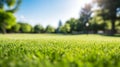 Tranquil Manicured Lawn and Lush Trees Under Blue Sky, Blurred Background for Calm Spring Day. Generative Ai