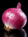 Onion Slice Isolated on plain back drops Royalty Free Stock Photo