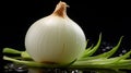 Onion Slice Isolated on plain back drops Royalty Free Stock Photo