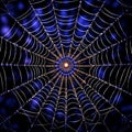 Macro portrait of a spider's web with captivating symmetrical patterns