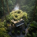Harmony in Nature: Aerial Serenade of a Grand Piano