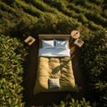 Coffee Plant Serenity: Aerial Elegance with Kingsize Comfort Royalty Free Stock Photo