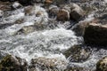 Serene Wilderness: Immerse Yourself in the Tranquil Splendor of a Untouched Mountain River in Cantabria