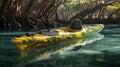 Serene Solo Kayak Journey Through Enchanting Mangrove Forest