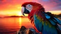 Colorful Parrot in the Golden Sunset