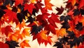 Stunning Seamless Fall Maple Birch Pattern A Breathtaking Autumnal Wallpaper or Background for Your Home Decor Royalty Free Stock Photo