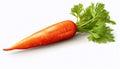 Nature\'s Bounty: Closeup of Carrot Isolated on White Background