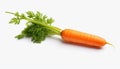 Nature\'s Bounty: Closeup of Carrot Isolated on White Background
