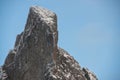 Snow-Kissed Silence: Pietrele Doamnei Rocks and Forest Blanketed in Winter