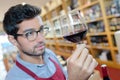 immersed alcohol critic fixedly gazing at wine Royalty Free Stock Photo