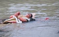 Immersion of Goddess Durga , Kolkata, west bengal