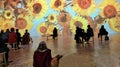 Immersive Van Gogh Exhibit In New York