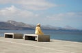 Immigrant woman sitting and looking at the sea