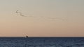 Immigrating birds on the sky at Latsi area of Paphos district of Cyprus Republic Royalty Free Stock Photo