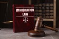 Immigration law book and gavel on marble table Royalty Free Stock Photo