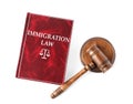 Immigration law book and wooden gavel on background, top view