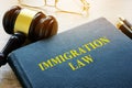 Immigration law and gavel. Royalty Free Stock Photo