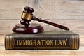 Immigration law. Judge gavel on the book on wooden table. justice and law concept. Employment law. Royalty Free Stock Photo