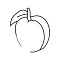 immortal peach taoism line icon vector illustration