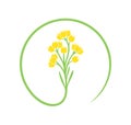 Immortelle logo. Isolated immortelle on white background