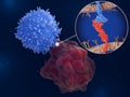 Immune checkpoint: Interaction between PD-1 and PD-L1 inhibits T-cells