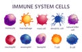 Immune system cell types. Cartoon macrophage, dendritic, monocyte, mast, b and t cells. Adaptive and innate immunity