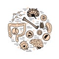 Immune system icon set