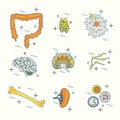 Immune system icon set