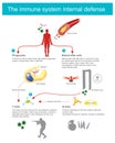 The immune system internal defence.