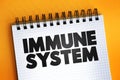 Immune System text on notepad, health concept background