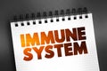 Immune System text on notepad, health concept background