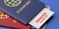 Immunity passport, coronavirus travel document red and blue color, 3d illustration