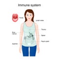 Immune system. woman silhouette with Internal organs