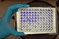 blue immunoassay and plastic plate Royalty Free Stock Photo