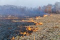 The impact of forest fires and farmers gardens on fires causes toxic smog, drought, and wildlife death