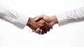 Diverse business men arms shaking hands