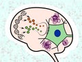 Impaired signalling in Alzheimer's Disease