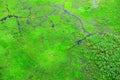 Impala and aerial landscape in Okavango delta, Botswana. Lakes and rivers, view from airplane. Green vegetation in South Africa. T