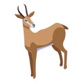 Impala gazelle icon, isometric style Royalty Free Stock Photo
