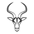 Impala head Suitable for use as decoration or logo Line art vector of springbok head Suitable for use as Royalty Free Stock Photo
