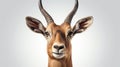 Impala ram starring at the camera. generative ai