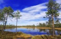 Impassable swamp in Siberia Royalty Free Stock Photo