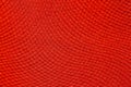 Impassioned textile background in extravagant red tone.