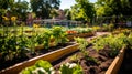 Impeccable garden beds in the schoolyard