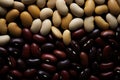 Impeccably linked, various sizable bean types create a harmonious pattern Royalty Free Stock Photo
