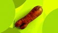 Imperfect fresh organic ugly carrot isolated on lime background