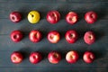 Imperfect red and green apples on a dark background. Bulk. Royalty Free Stock Photo