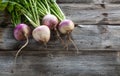 Imperfect sustainable turnips, green tops and roots on old wood Royalty Free Stock Photo